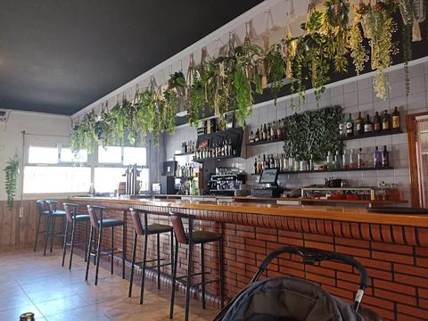 Barra del local de Daimús, con los taburetes y las plantas colgando del techo